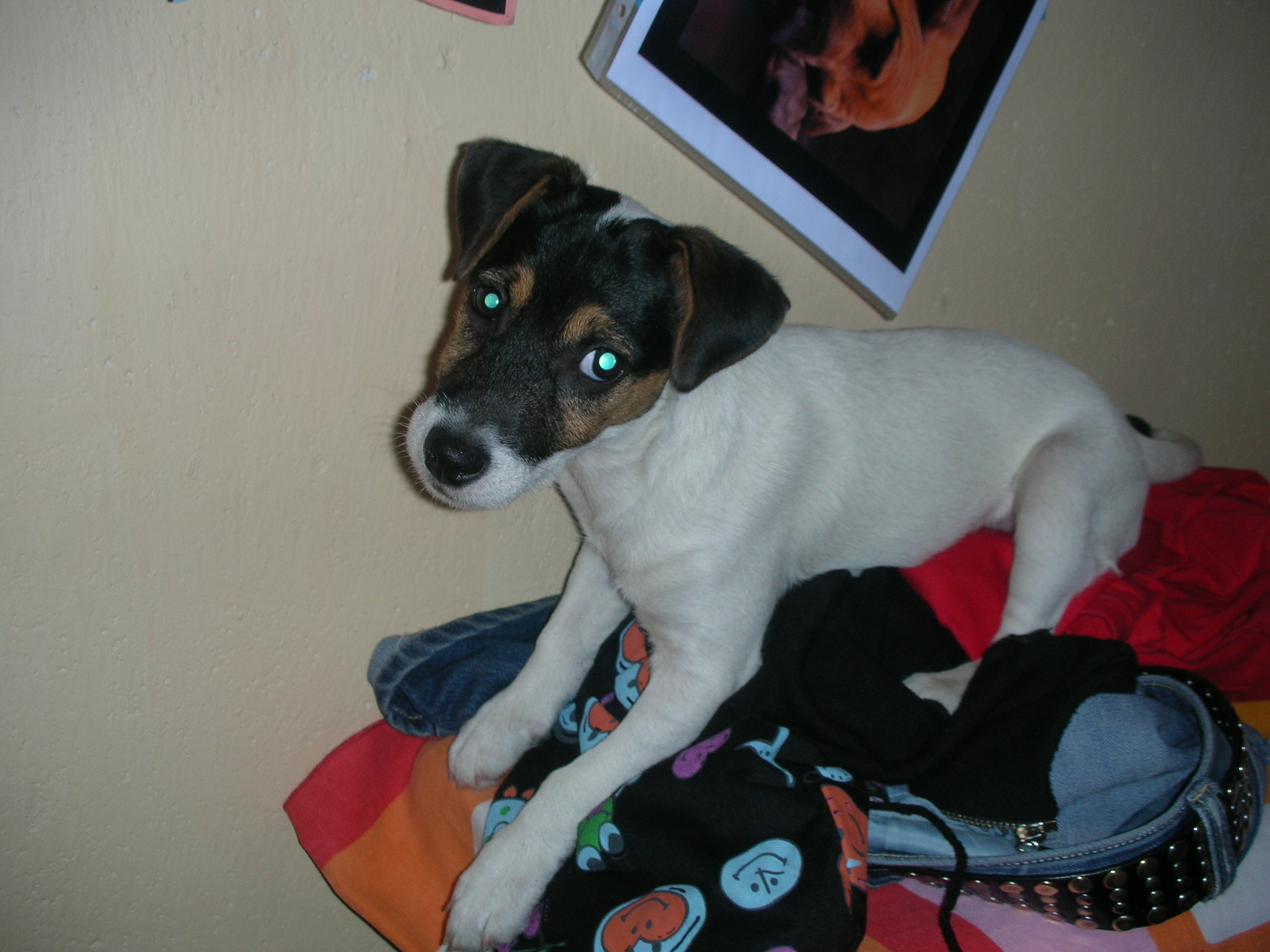 DSCN3028.JPG