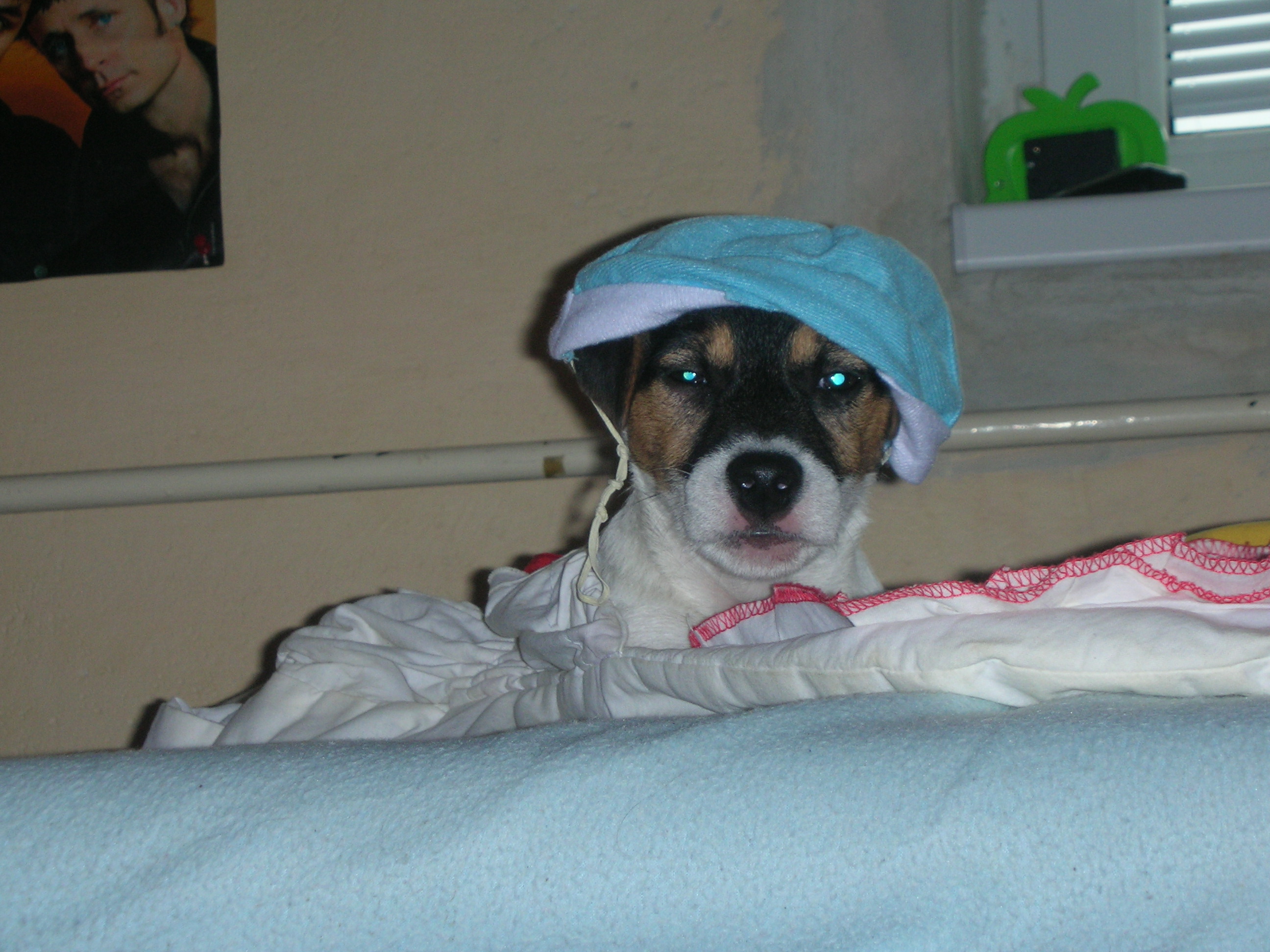 DSCN3033.JPG